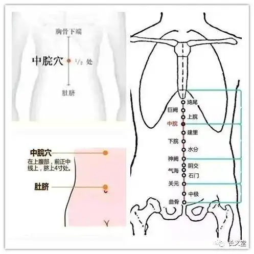 湿气重,有除湿两穴位_艾灸