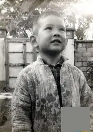 费翔是美国和中国混血父母照曝光(费翔为什么是美国籍)