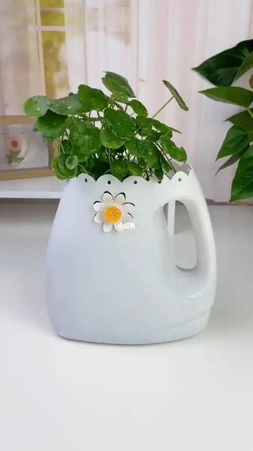 洗衣液瓶子制作花盆,都说不会画图,这款够简单了吧,适合新手哦!