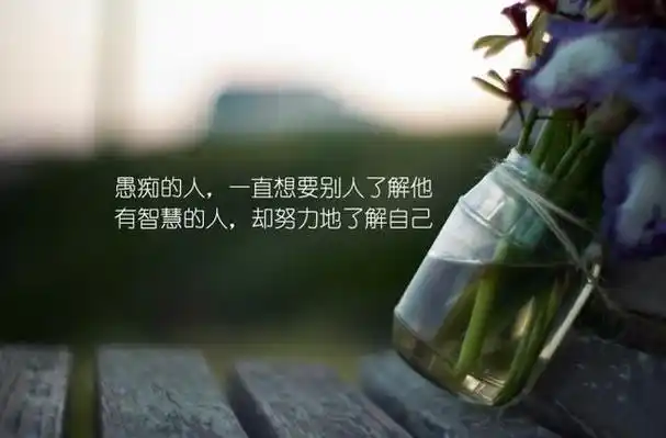 早安励志图片句子逆境使人成熟绝境使人醒悟