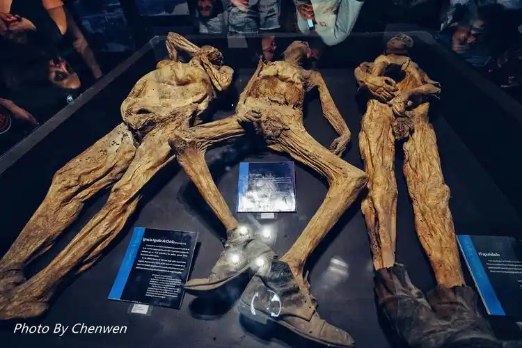 瓜纳华托干尸博物馆,我们畏惧死亡,墨西哥人却载歌载舞?_木乃伊