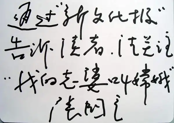 专业皇帝张国立书法欣赏