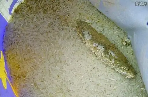 霉变食物在其霉箘中会产生一种叫黄曲霉素的有毒代谢产物,而它正是