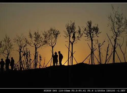 2010年的照片-尼康d60加狗头的时候