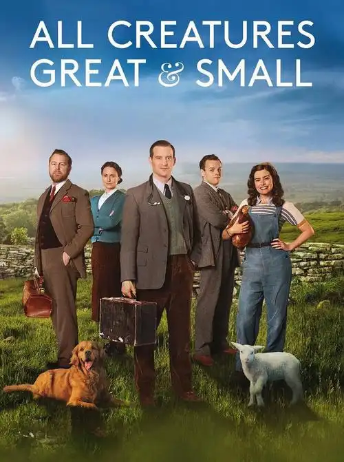 豆瓣9560治愈天花板最强英剧来袭