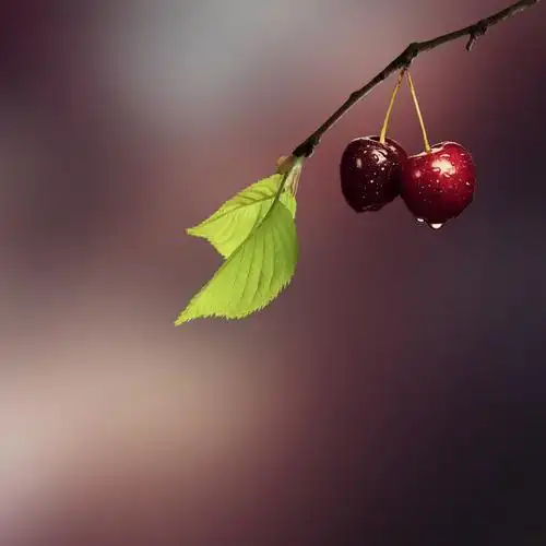 清新唯美户外超漂亮高清意境图片分享