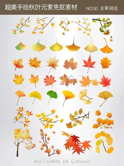 多彩枫叶银杏叶绘画素材png免扣元素