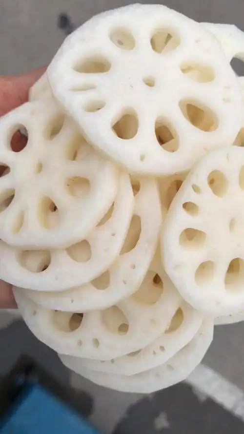 清水藕片10斤装5斤装凉拌菜火锅麻辣烫食材超划算 2500g【图片 价格