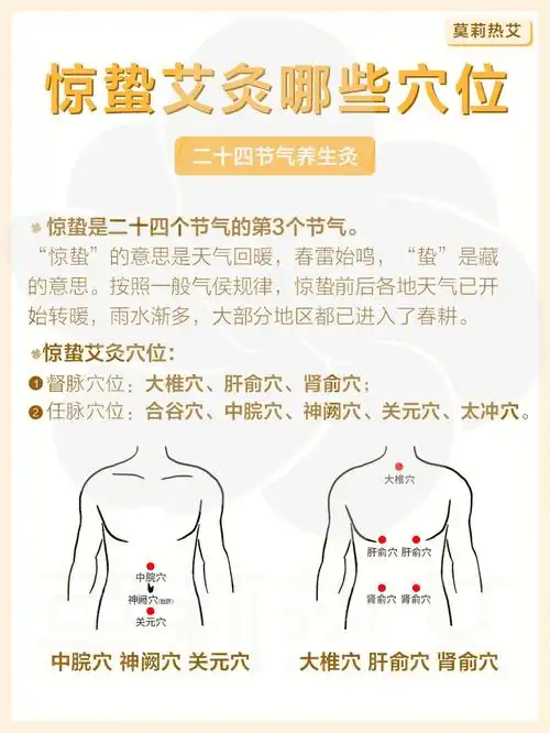 二十四节气养生艾灸惊蛰