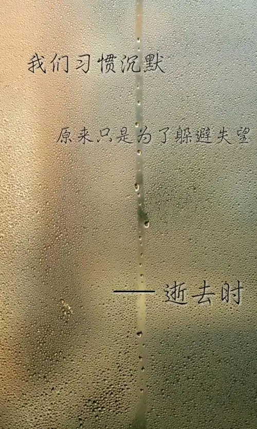 我们习惯沉默,原来只是为了躲避失望