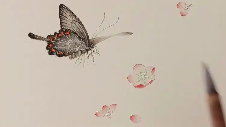 画出翩翩起舞的蝴蝶 工笔草虫技法视频
