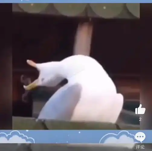 求这个大鹅还是什么动物大笑的动图表情包!