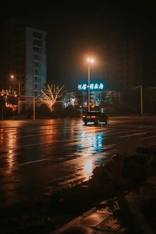 城市的夜晚是灯火通明艳丽繁华的也是冰冷孤独的