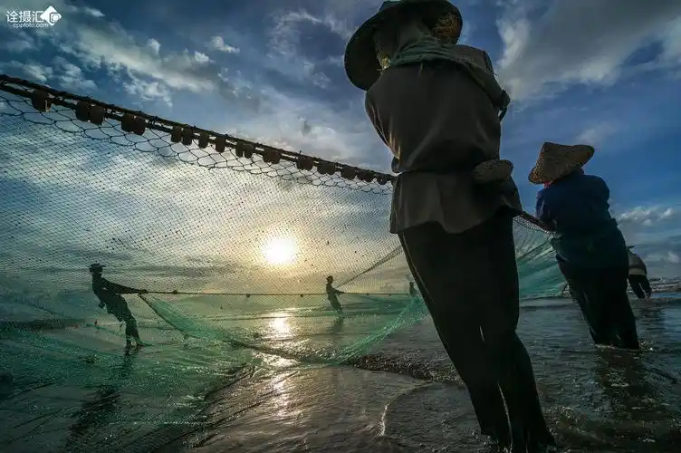 大埕湾拉网捕鱼的人们