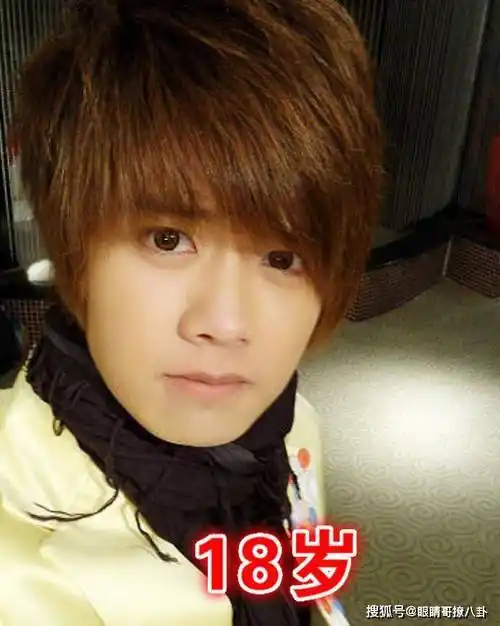 任嘉伦8岁到31岁的颜值变化,从12岁开始,就见证了"古装男神"的诞生