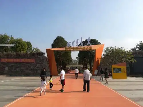 乐游莞邑—不负冬日暖阳,徒步龙湾湿地乐跑公园 - 美篇