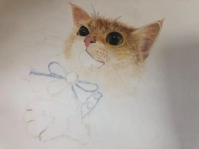 1举报收藏分享原创作品纯艺术绘画魔术猫30果子狸猫天猫59果子狸猫趴