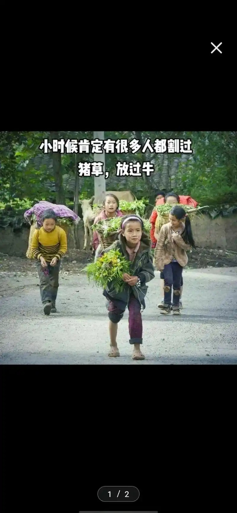 看到这画面是人很心酸,小时候背背篓 割猪草 砍柴 这活我都干 - 抖音