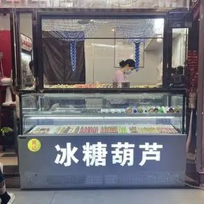 冰糖葫芦专用展示柜多层玻璃柜三轮车载款迷你小串冷藏柜风冷无霜