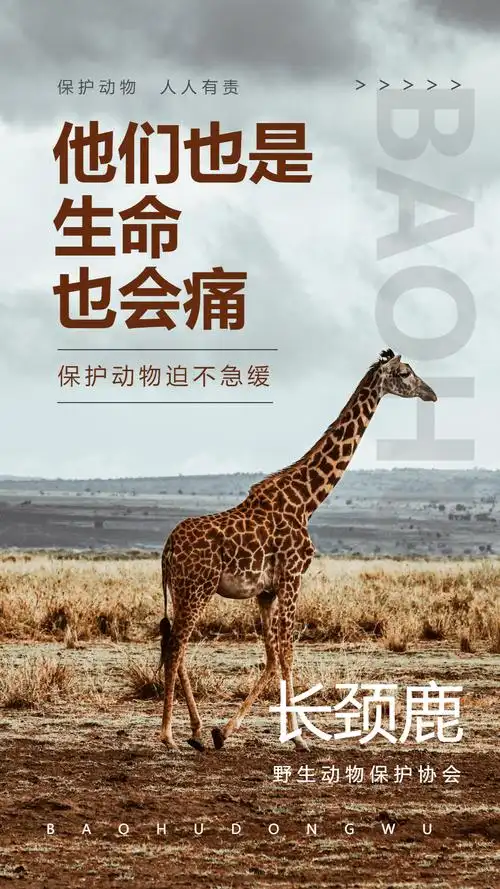 保护野生动物之长颈鹿宣传公益摄影图海报