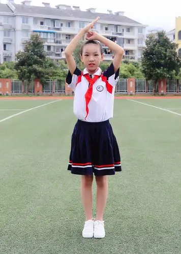 中国少年先锋队标志礼仪基本规范(二)——敬队礼