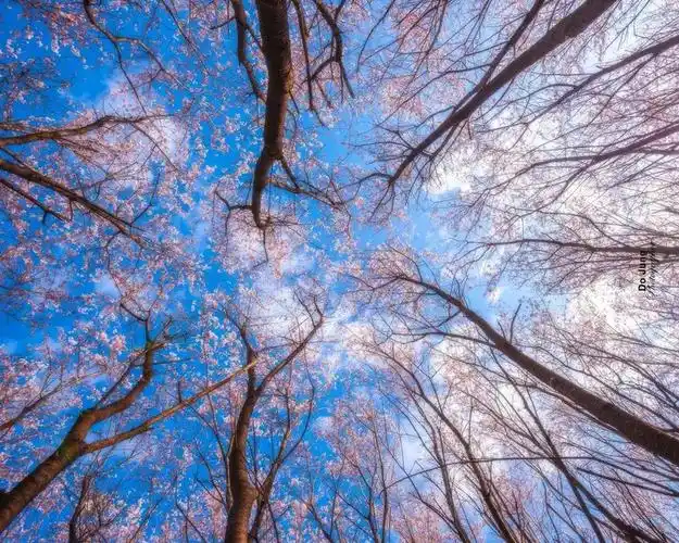 将天空,树木,建筑等元素倒映在水面上,能够形成虚实相间的画面效果