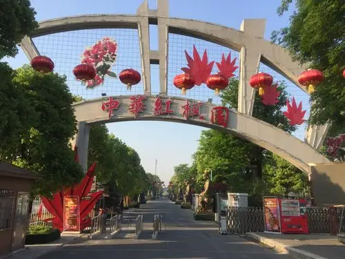 江苏泰兴中华红枫园 2017.04.27