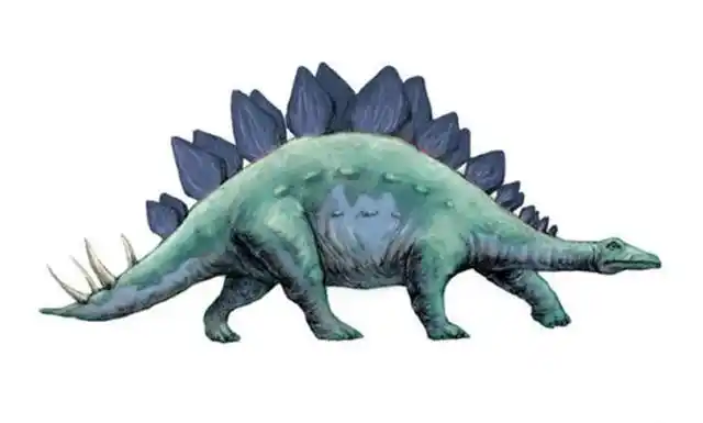 儿童画教程剑龙了解恐龙的基础知识和绘画技巧