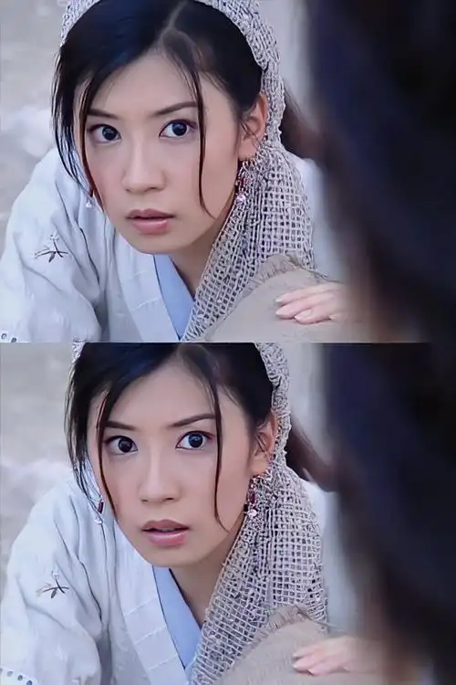 《倚天屠龙记》【赵敏】贾静雯