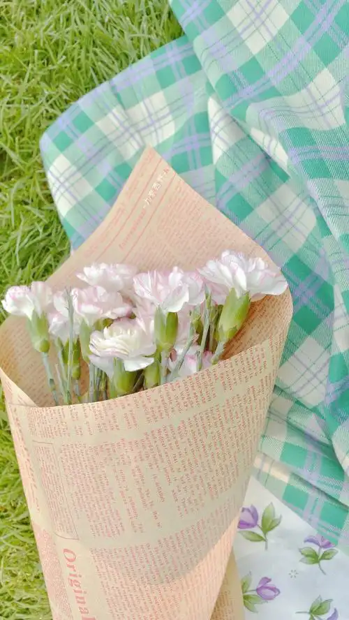 51 5058 550151 0850040550 温柔是人间宝藏