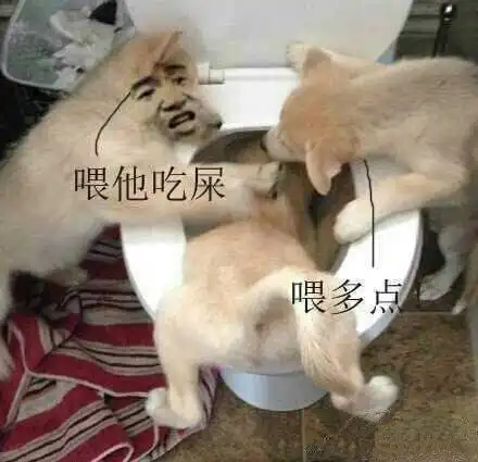 把狗按在马桶里:喂他吃屎 喂多点