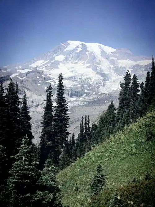 雷尼尔山国家公园