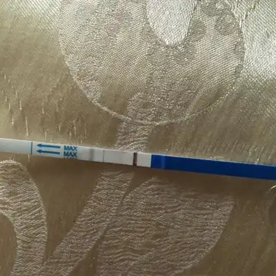 第二条很浅很浅是不是怀孕了?