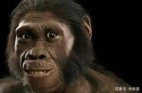 原始人也吃 "野味",为什么没有灭绝了?科学家这样子解释