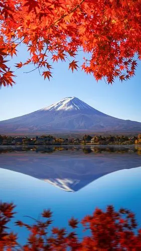 最美红叶季,高清图片,手机壁纸