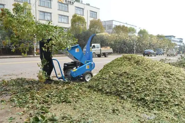 听说吗,猪也能吃树 ?树枝粉碎机将一种枝叶粉碎成碎屑喂猪?