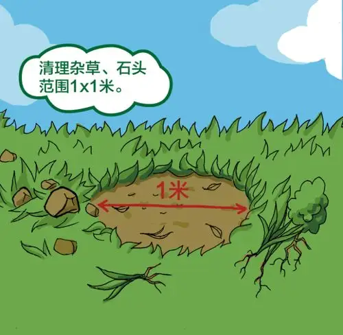 我一直以为放屁是pm2.5的罪魁祸首——王思聪