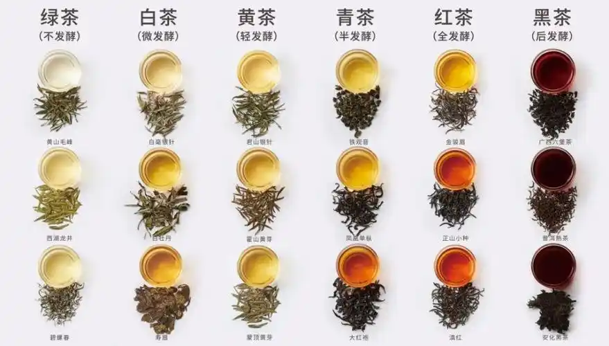 春茶季将至拿好这份中国山与茶地图咱们转山去