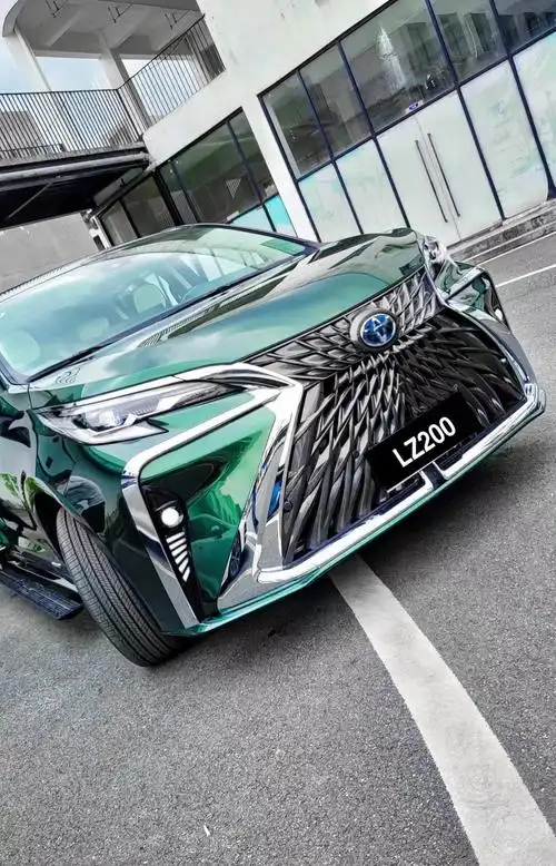 丰田塞纳格瑞维亚改装来一波珑行老鹰山鸡版.