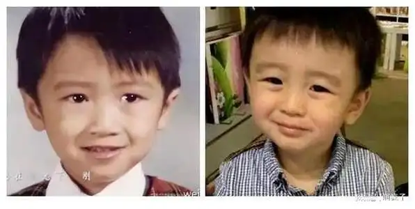 完全不像谢霆锋,更像高个子王宝强|贝嫂|谢振轩_网易订阅