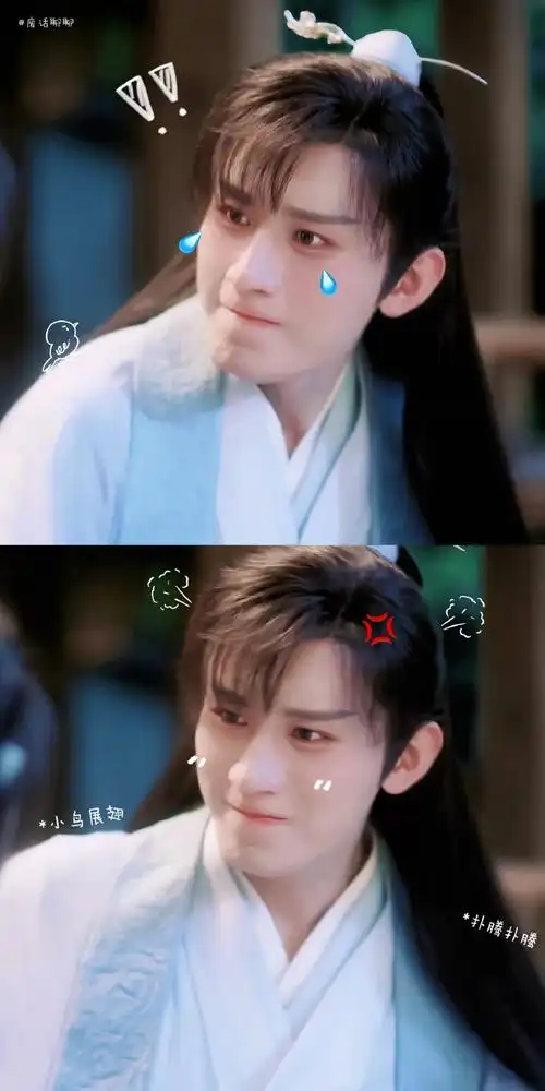 成毅##成毅禹司凤