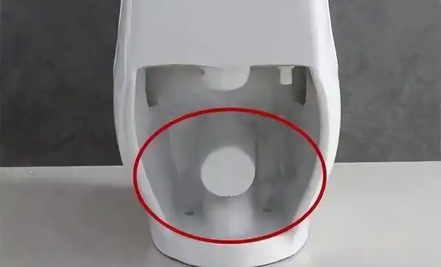 卫生间反味臭气冲天,堵上所有下水口都没用,根本原因是这2个洞