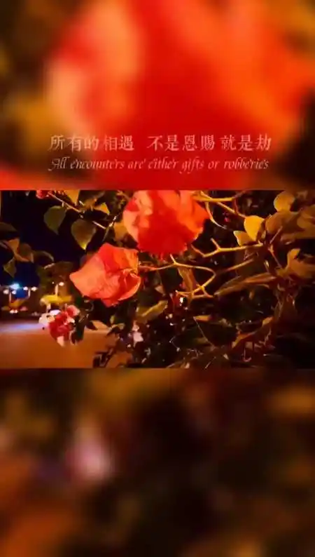 两个注定不能在一起的人为什么要安排他们相遇原来是上辈子欠的太多这