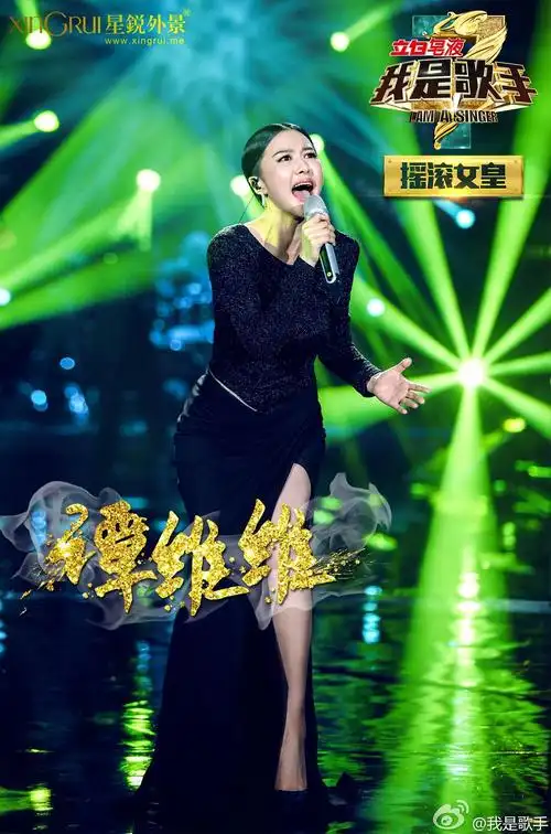 我是歌手 第三季