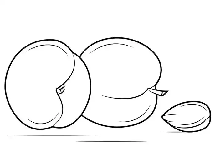 杏子怎么画,图片,简笔画-学笔画