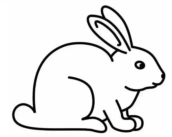 100个小动物简笔画 100个小动物简笔画大全