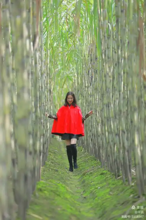 青纱帐,甘蔗林!