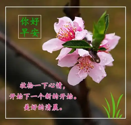 原创最新版早晨唯美动态图早上问候语温馨正能量暖心的短句早安