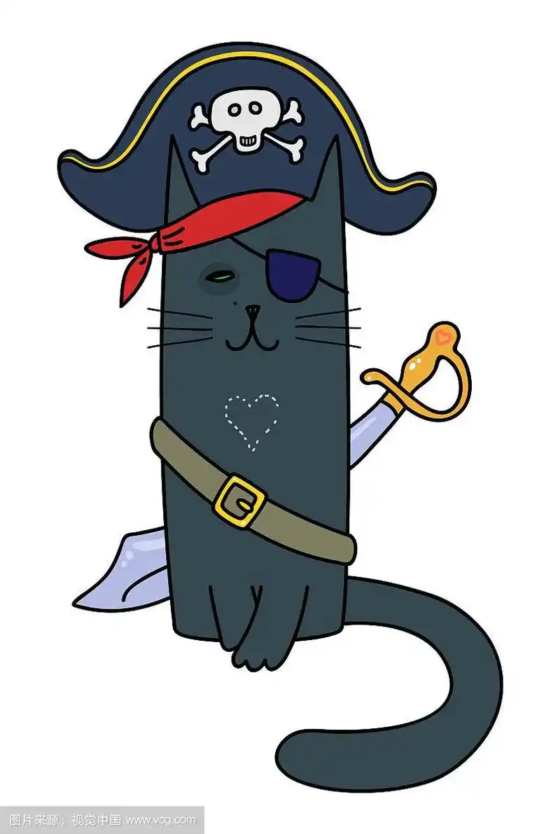 海盗猫