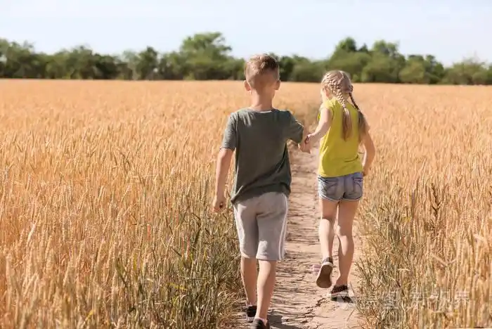 阳光明媚的日子, 可爱的小孩子们在麦田里奔跑